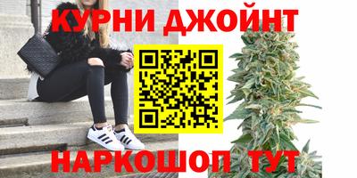 стафф Будённовск