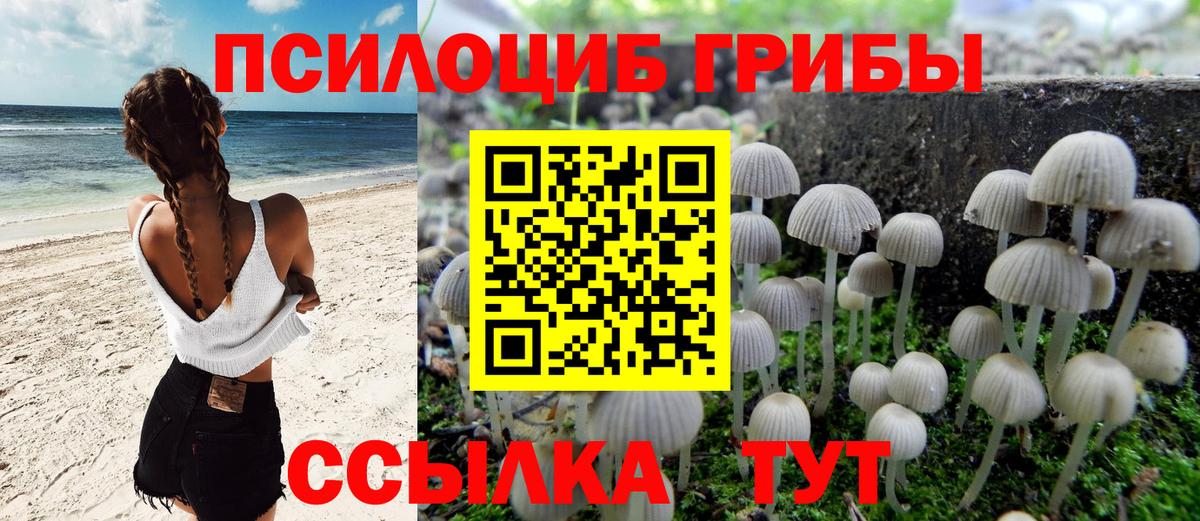 Феодосия  Псилоцибиновые грибы Cubensis  Вход с VPN 
